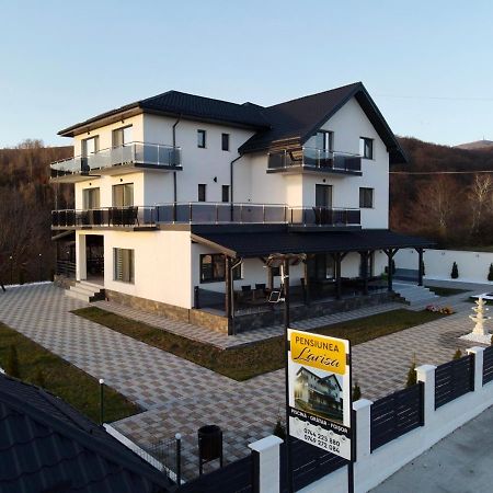Casa De Vacanta Larisa Novaci-Străini Екстериор снимка