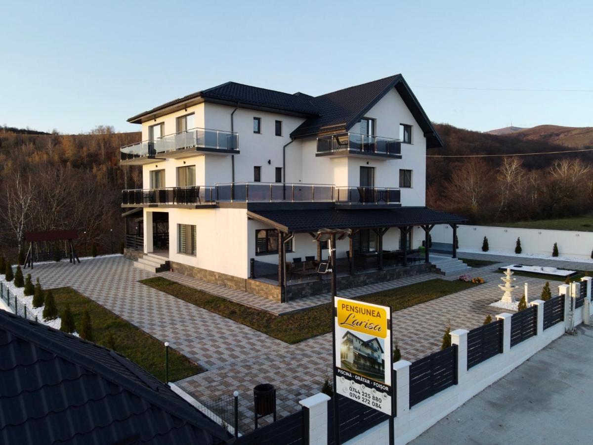 Casa De Vacanta Larisa Novaci-Străini Екстериор снимка