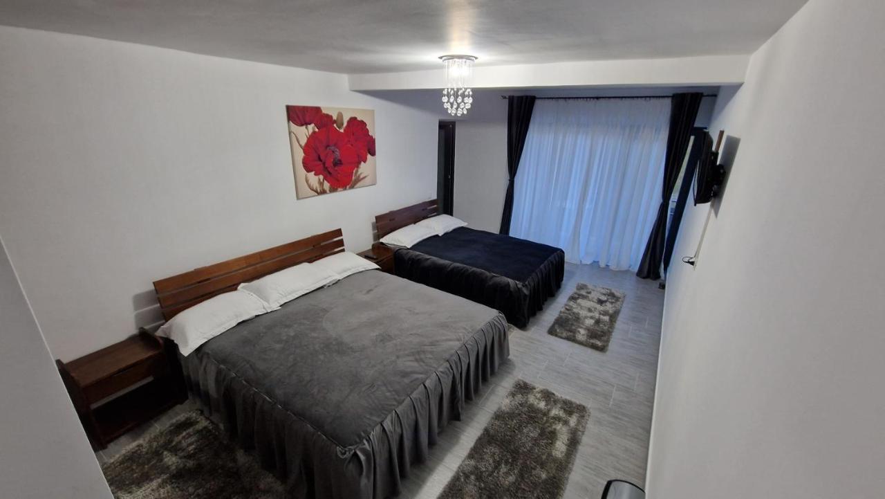 Casa De Vacanta Larisa Novaci-Străini Екстериор снимка
